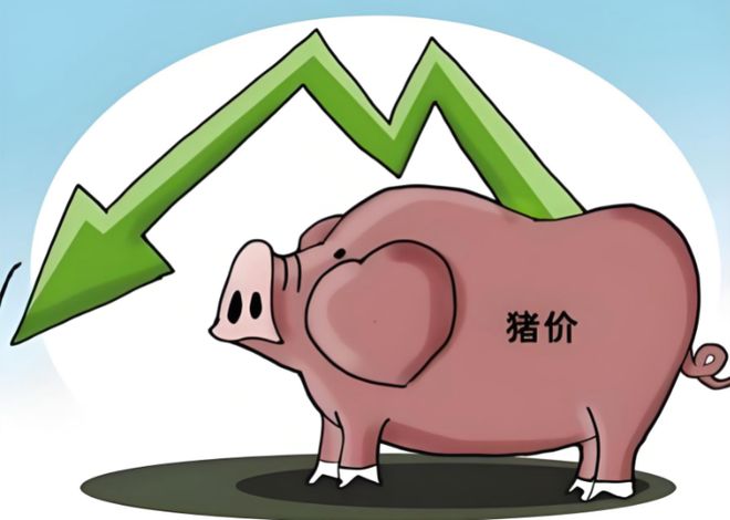 2026年猪周期梦：即将苏醒还是彻底破碎？