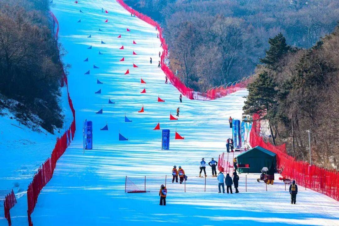 从“冰雪热土”到“世界赛道” 从“冷资源”到“热经济” “沈